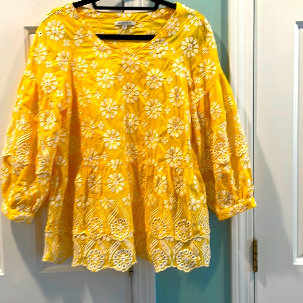 Beautiful sun color blouse! M EUC NSNP Embroidered! Note sleeve details!